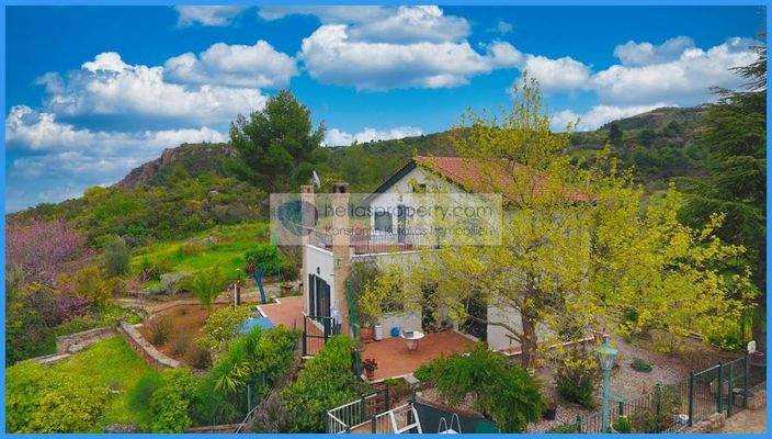 5c2424bfbe474c72a0c428b93a8666b8-original