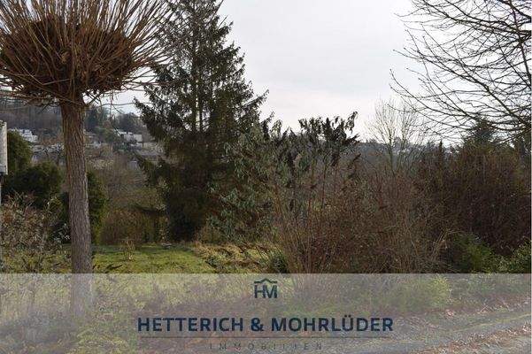 Straßenansicht von links