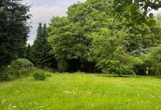 Sommer
