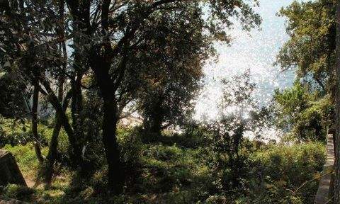 Kreis Ulcinj Häuser, Kreis Ulcinj Haus kaufen