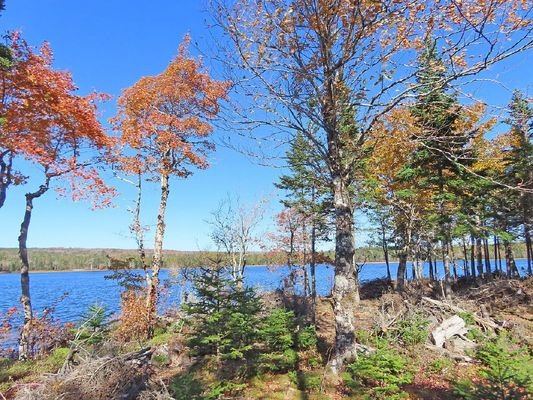 Cape Breton - Wunderschönes See-Grundstück mit rd.