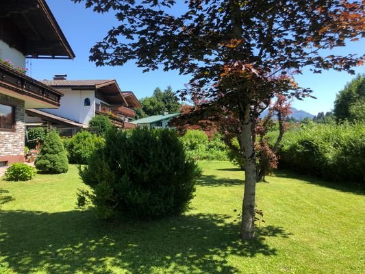 Teil des 320 m² Garten