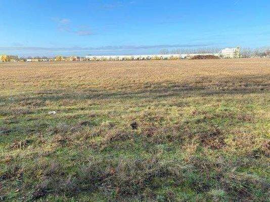 Blick auf das Grundstück