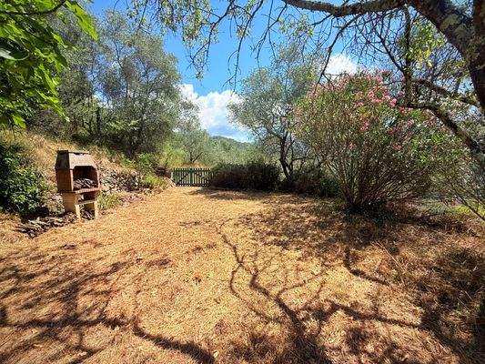 AP_1026_TERRA ITALIA IMMOBILIEN_LIGURIEN_APRICALE_