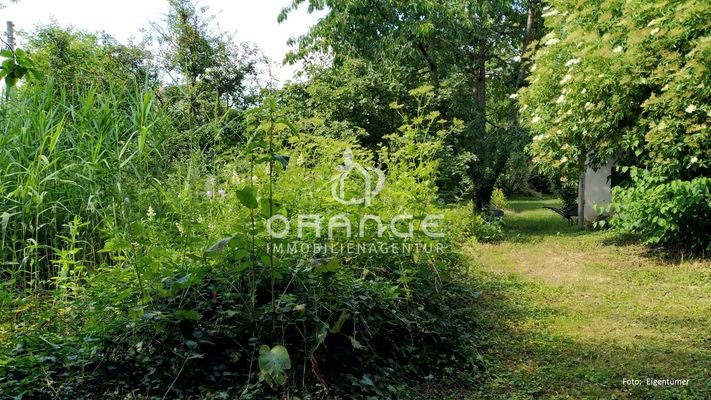 Verwunschene Wege durch die Parkanlage|links: Schilf im Gartenteich