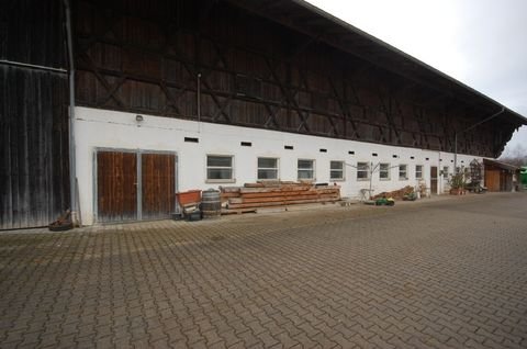 Dietramszell Halle, Dietramszell Hallenfläche