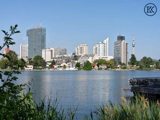 Alte Donau