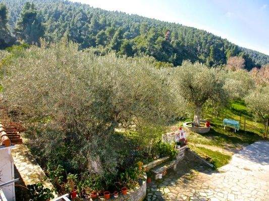 DETACHED HOUSE HALKIDIKI