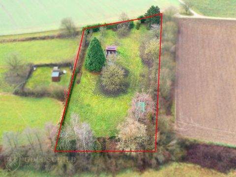 Wernau Bauernhöfe, Landwirtschaft, Wernau Forstwirtschaft