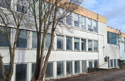 Manching Halle, Manching Hallenfläche