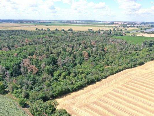 Luftaufnahme - Blick Richtung Süd-Westen