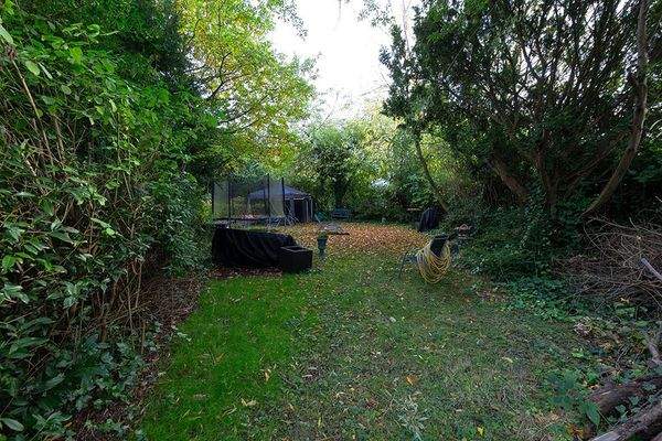 Gartenblick hinterer Bereich