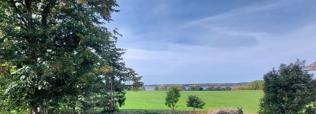 Blick vom Garten zum See