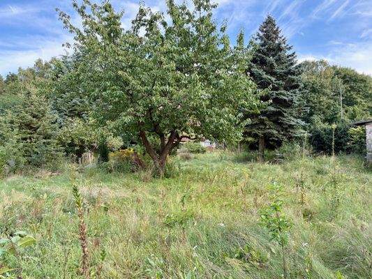 Anischt zur Fichtenstraße 2.jpg