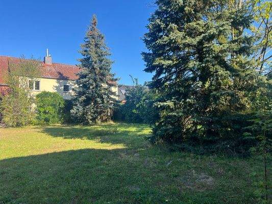 Groß (IMG_7664).jpeg