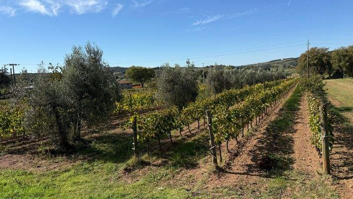 EA3BBC33-E766-41D4-9FAB-9662230C156D_1_102_a