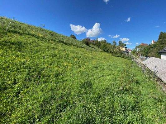 Insgesamt ca 1035 m² Grundstücksfläche