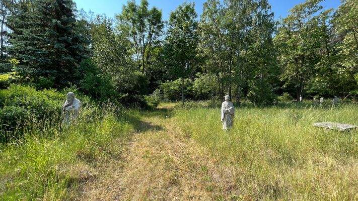 Blick aufs Grundstück
