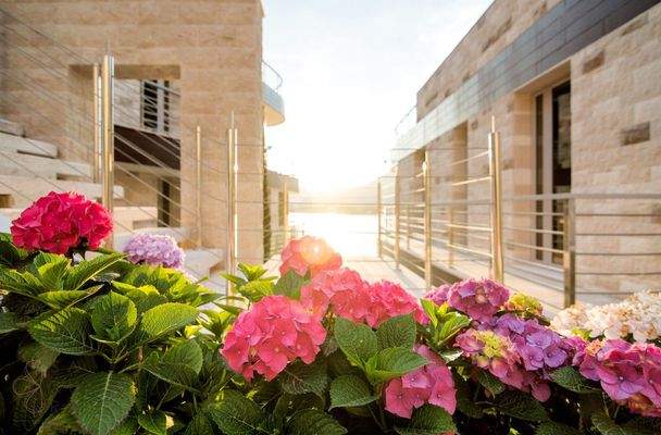 Dukley Exterior (28)