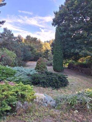 Im hinteren Grundstücksteil