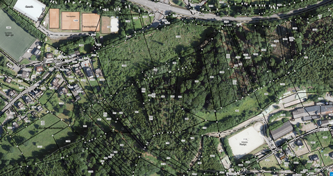 Gummersbach Bauernhöfe, Landwirtschaft, Gummersbach Forstwirtschaft