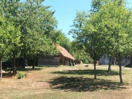 WhatsApp Image 2025-07-01 at 08.25.08 (2)