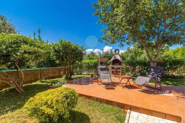 Eine mediterrane Bepflanzung ziert den Garten