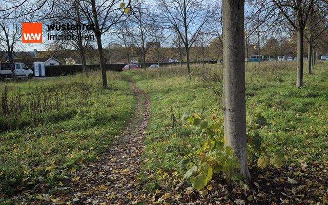 Grünfläche in der direkten Nachbarschaft