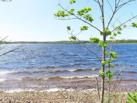 Cape Breton - Shaw Lake - 2,7 Hektar großes Grunds