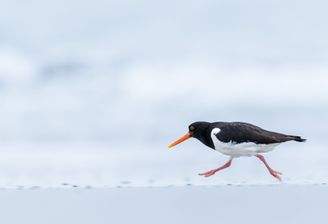 240510-_MG_1077.jpg