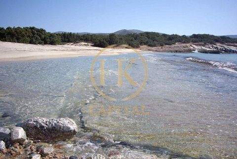 ??????? Büros, Büroräume, Büroflächen 