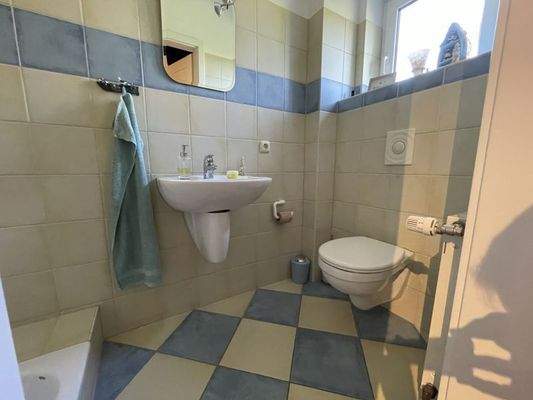 Gäste-WC EG mit Dusche