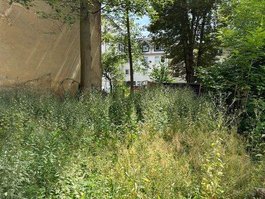 Foto 26.06.24, 15 15 35.jpg