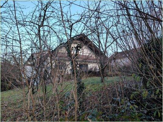 Im Sommer unsichtbar