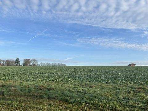 Bassum Bauernhöfe, Landwirtschaft, Bassum Forstwirtschaft