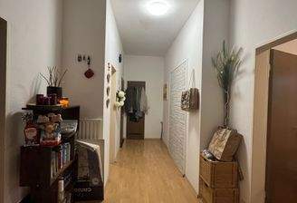 Heller Flur mit Dekoration