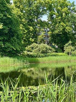 Wohnen am grünen Schlosspark