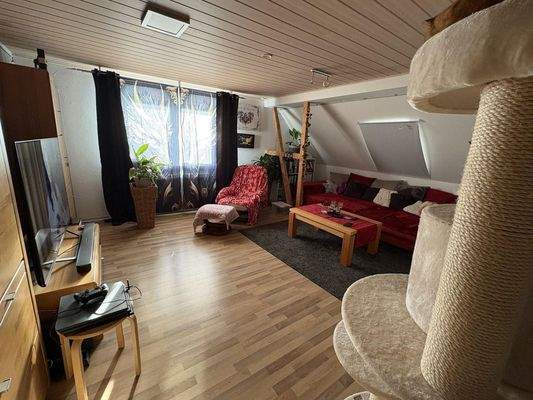 Wohnzimmer / Schlafzimmer 