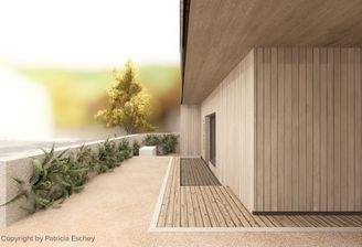 Eingangsbereich/ Carport/ Straßenseite (Visualisierung)