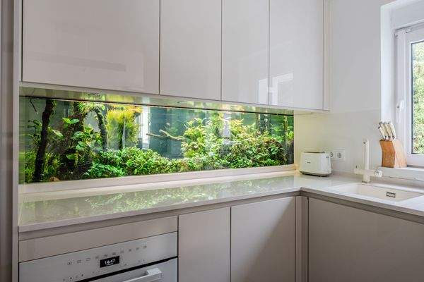 Hochwertiges Aquarium als Raumtrenner