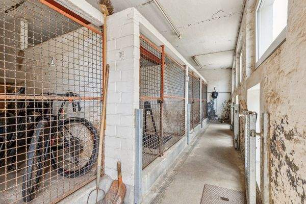 Hundezwinger/Abstellfläche im Anbau, ehemaliger Kuhstall