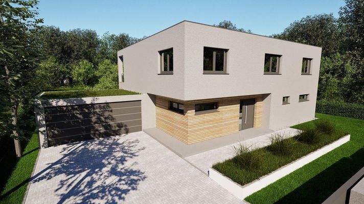 Visualisierung Villa Frontansicht