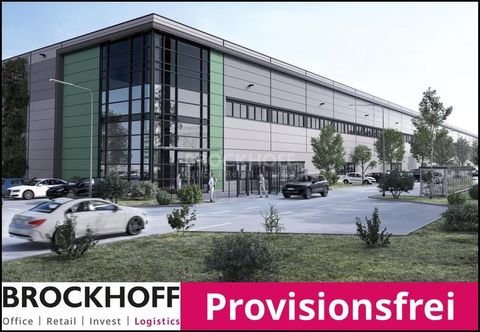 Hamm Halle, Hamm Hallenfläche