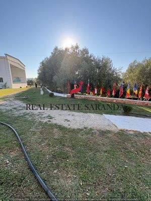 WhatsApp Image 2025-08-27 at 18.00.17.jpeg