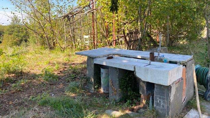 1015 - Stella - Teglia modello 3D.jpg