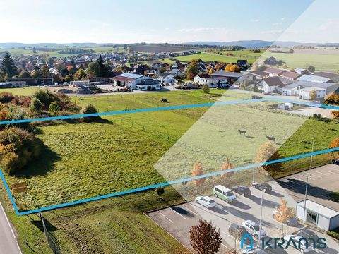 Bad Urach / Hengen Industrieflächen, Lagerflächen, Produktionshalle, Serviceflächen