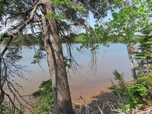 Cape Breton - Cleveland - Wunderschönes Fluss-Ufer