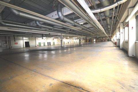 Münchberg Halle, Münchberg Hallenfläche