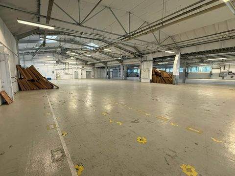 Weilmünster Halle, Weilmünster Hallenfläche