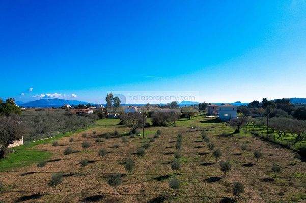 5ff6cf1b4bf347a996668e54224f23bd-original